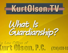 What is Guardianship?